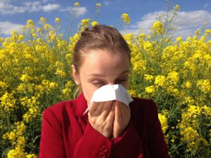 Read more about the article Don’t Wait: Nip Your Allergies In The Bud Now