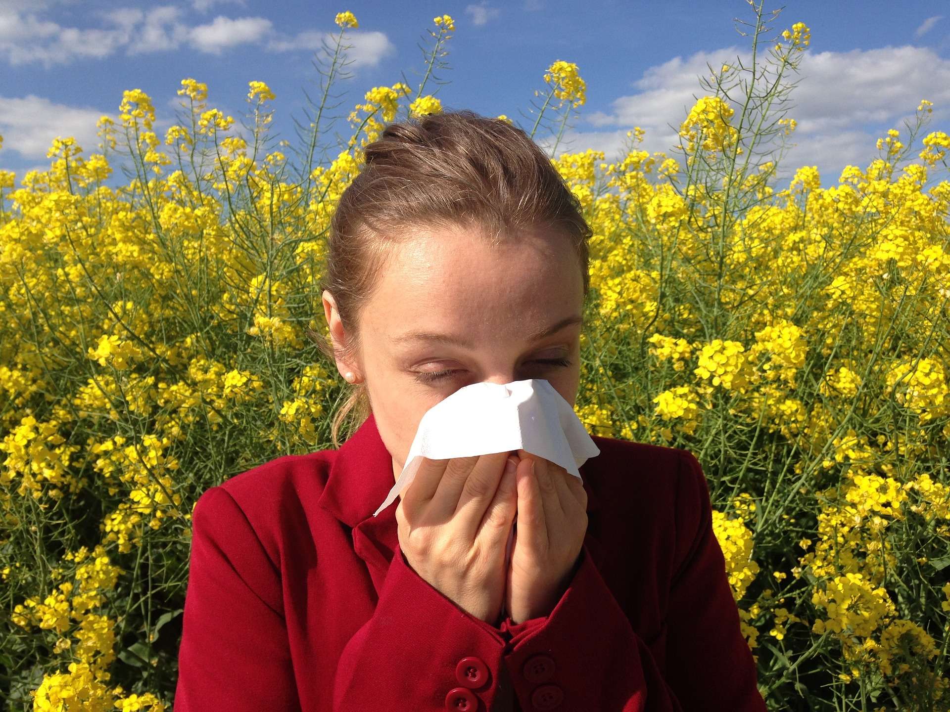 Allergic Rhinitis, Hay Fever, Spring Allergies, Fall Allergies