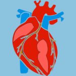 Understanding my cardiovascular risk